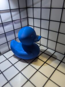 Stock Ducks