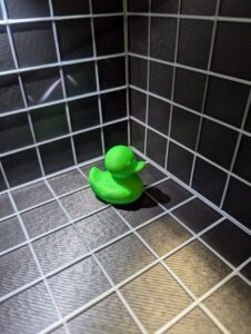 Stock Ducks