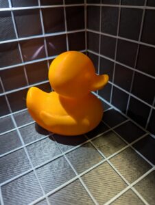 Stock Ducks
