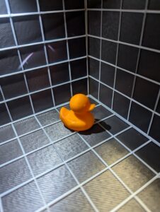 Stock Ducks