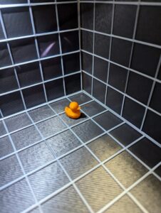 Stock Ducks