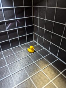 Stock Ducks
