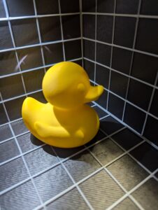 Stock Ducks