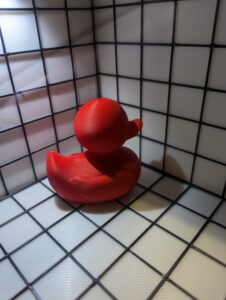 Stock Ducks