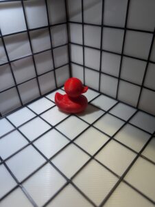Stock Ducks