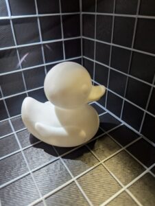 Stock Ducks